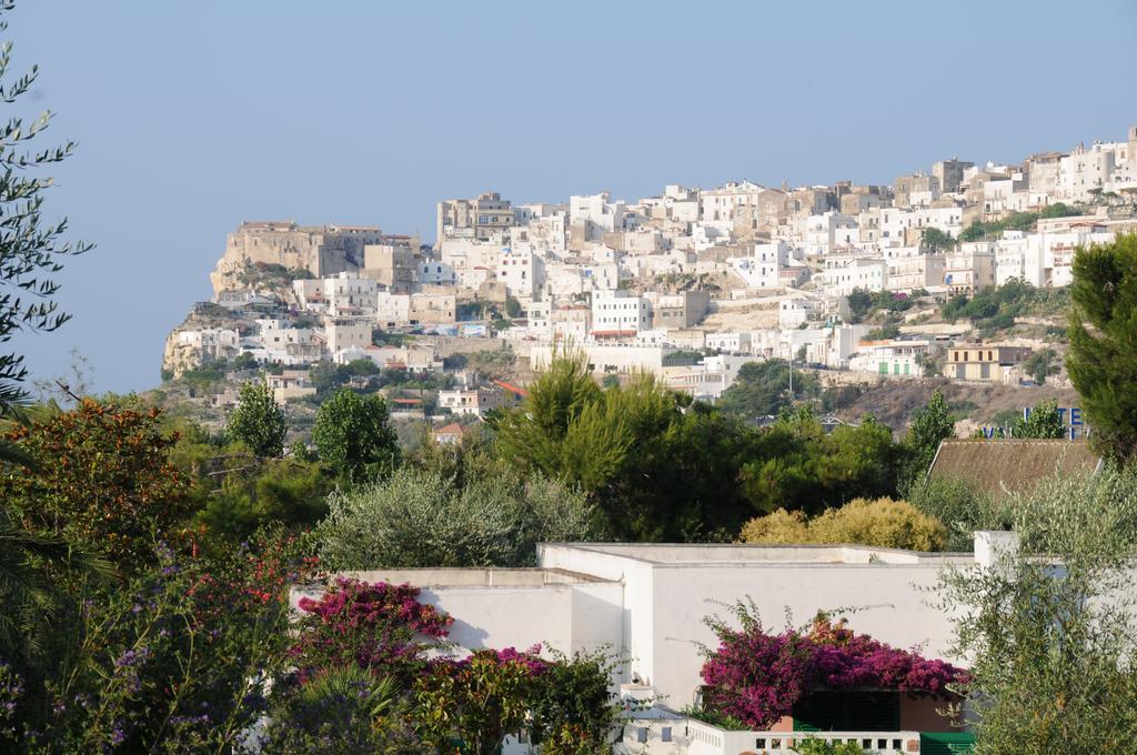 Club Village Maritalia Hotel 4*
